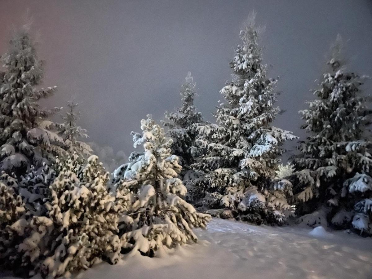 Chalet Ro Peştera Buitenkant foto