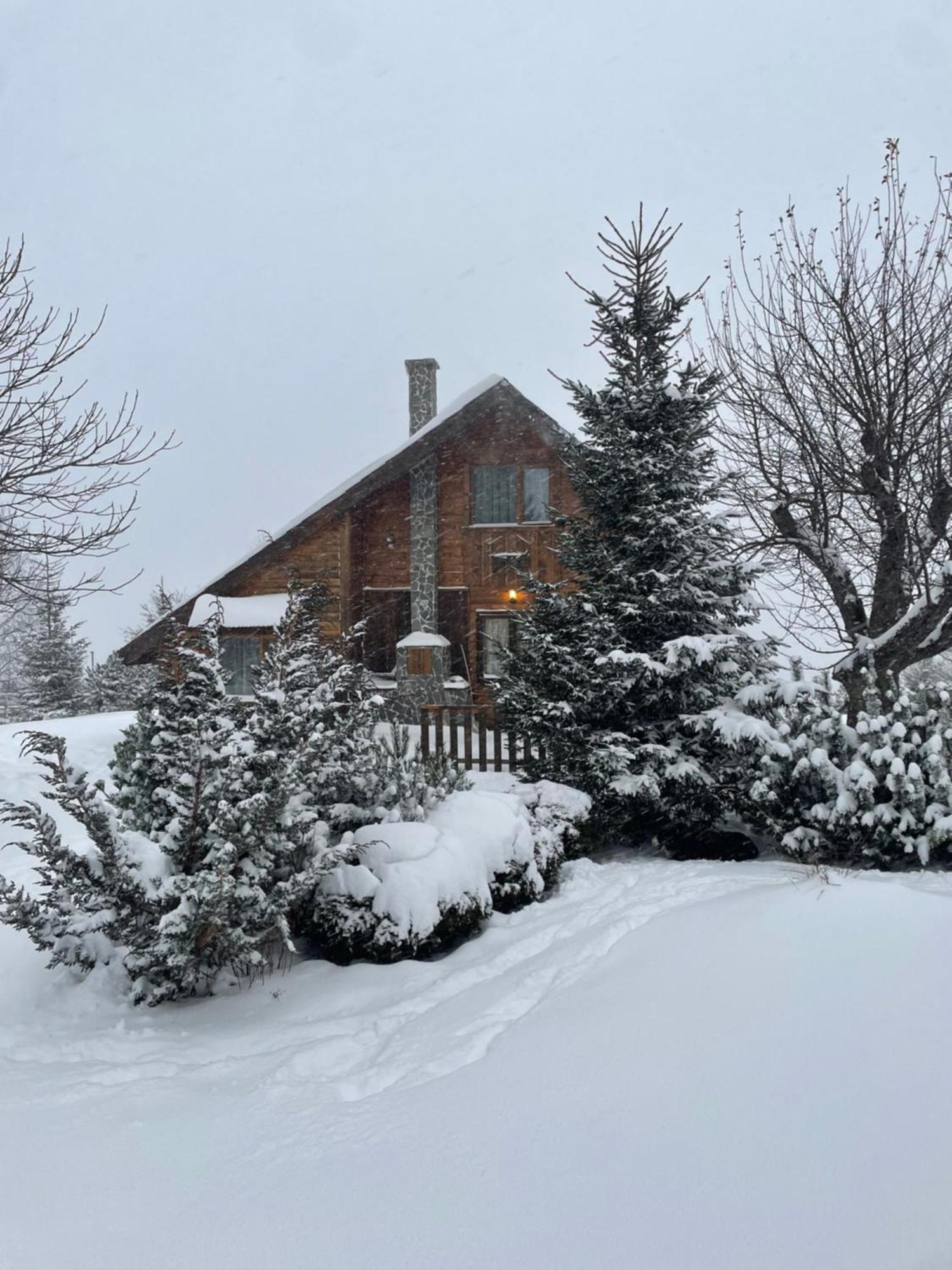 Chalet Ro Peştera Buitenkant foto