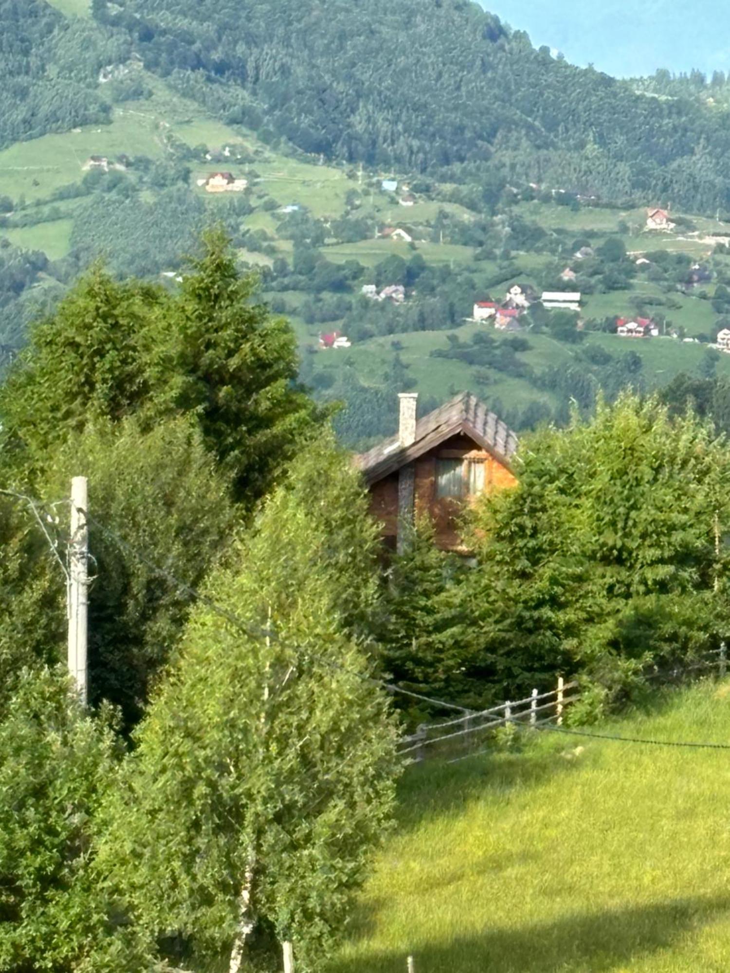 Chalet Ro Peştera Buitenkant foto