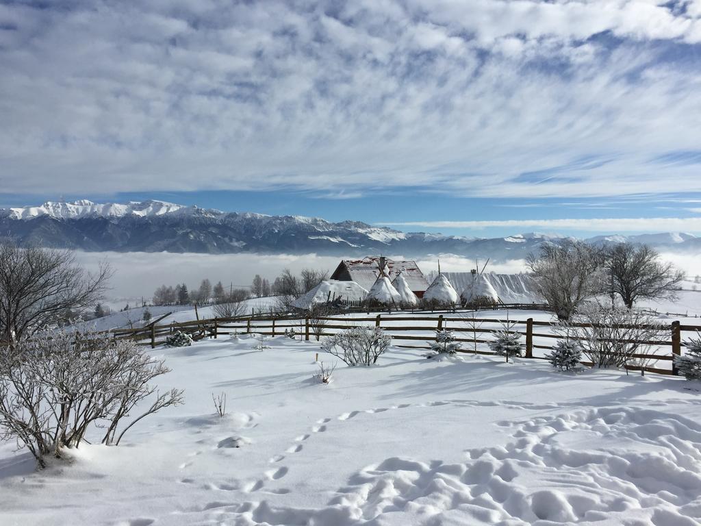Chalet Ro Peştera Buitenkant foto