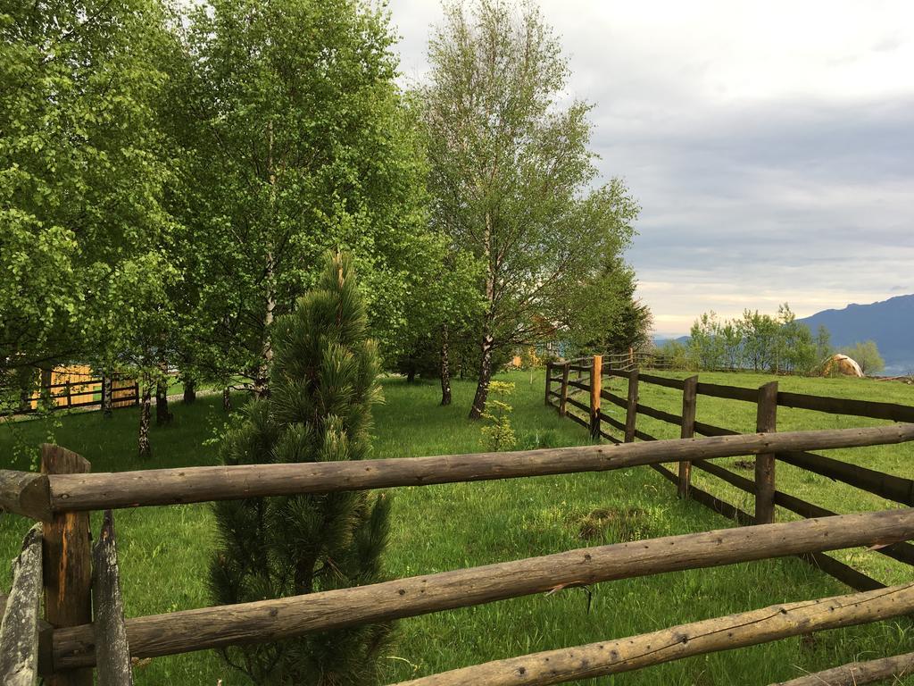 Chalet Ro Peştera Buitenkant foto