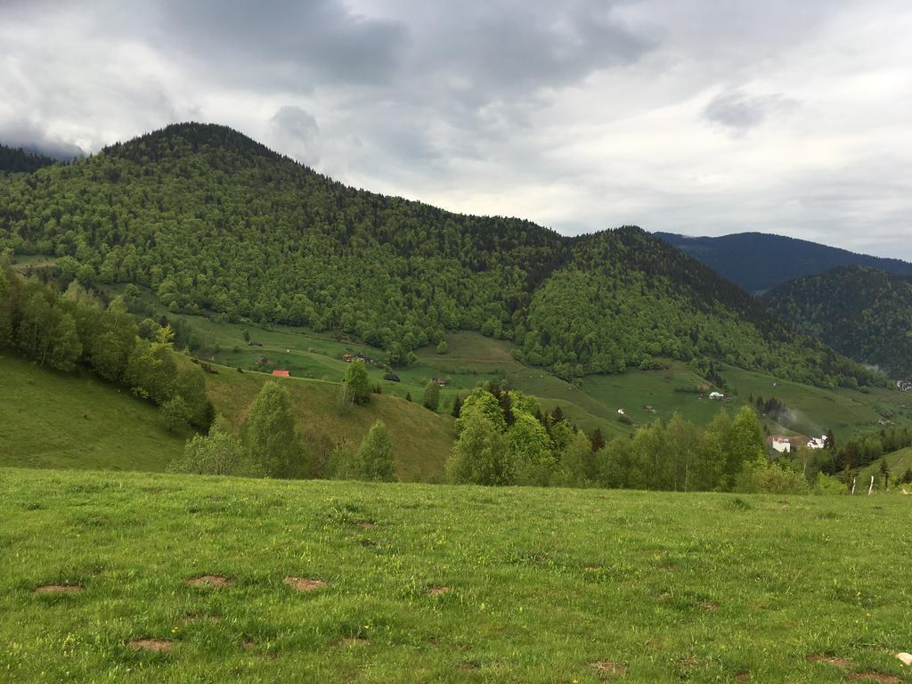Chalet Ro Peştera Buitenkant foto